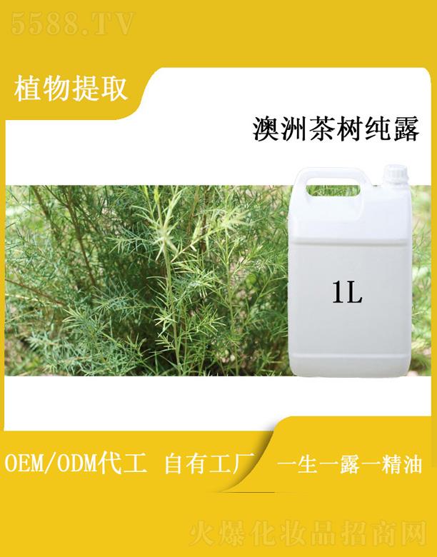 河南美肌源實業有限公司：菊澳洲茶樹純露 1L