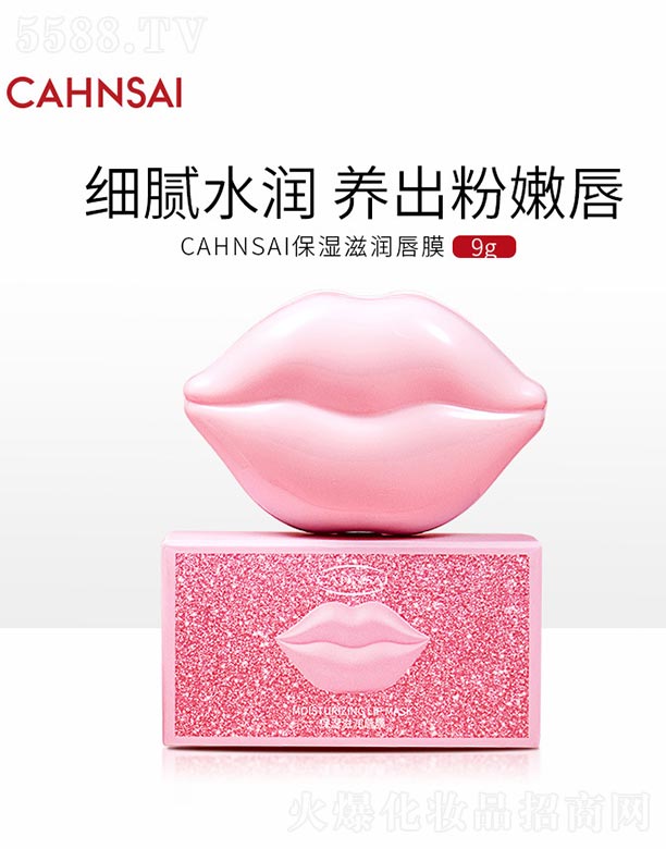 VnȻyƷ޹˾CAHNSAI̝(rn)Ĥ