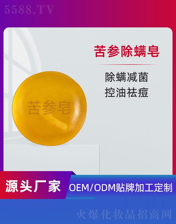 VݵƼ޹˾OEM