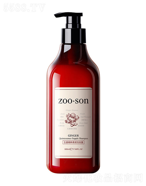 VnȻyƷ޹˾ZOOSONϴl¶