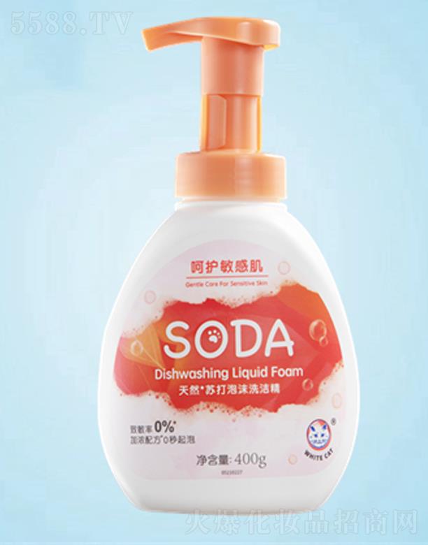 ׿I޹˾sodaKĭϴ 400g