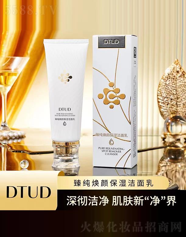 VƷƼlչ޹˾DTUD鼃