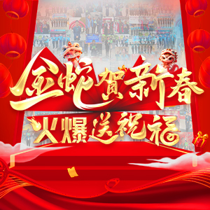 金蛇賀新春，火爆送祝福！