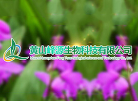 黃山峰源生物科技有限公司