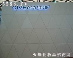 廣州市詩(shī)維婭化妝品有限公司