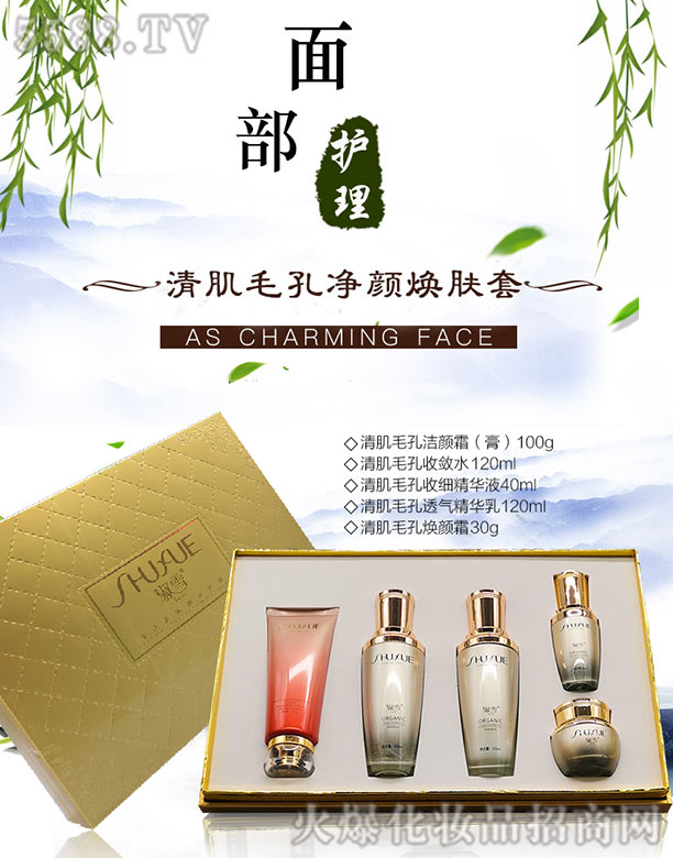淑雪清肌毛孔凈顏煥膚套