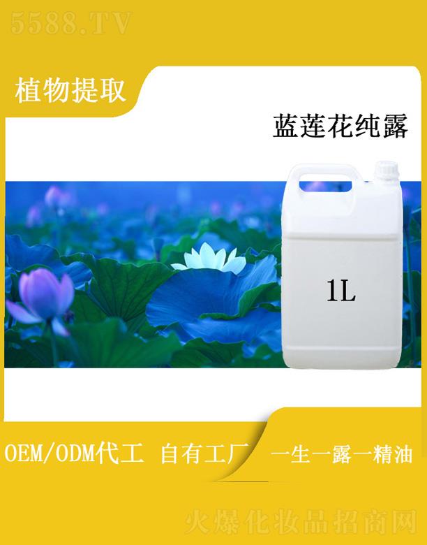 h{ɏ¶ 1L