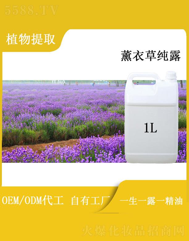 籬菊薰衣草純露 1L