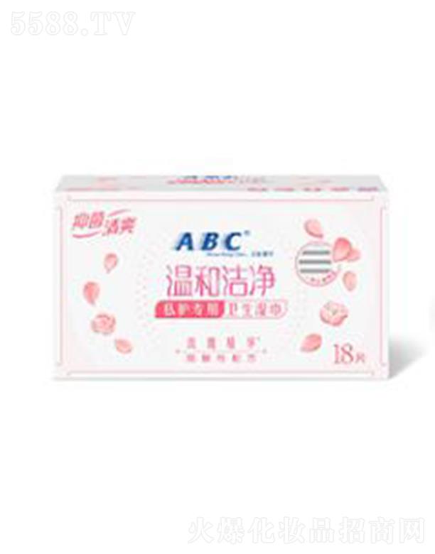 ABCl18Ƭ-R01 ˽̎坍 