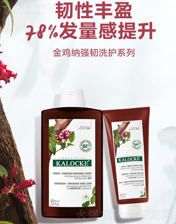 KALOCKE金雞納強韌洗護系列
