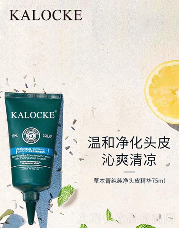 KALOCKE草本菁純純凈頭皮精華75ml