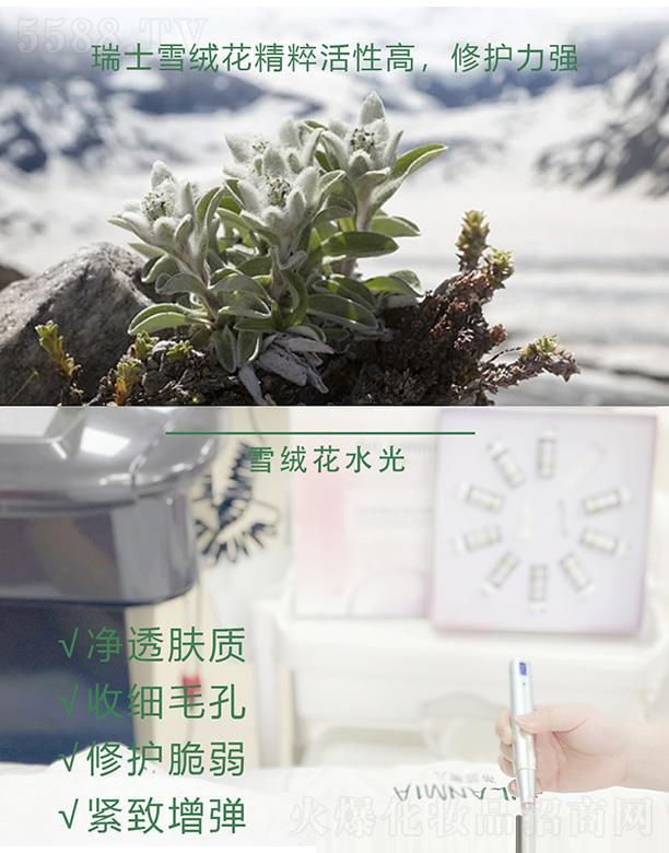 蒂藍蜜兒雪絨花精粹液
