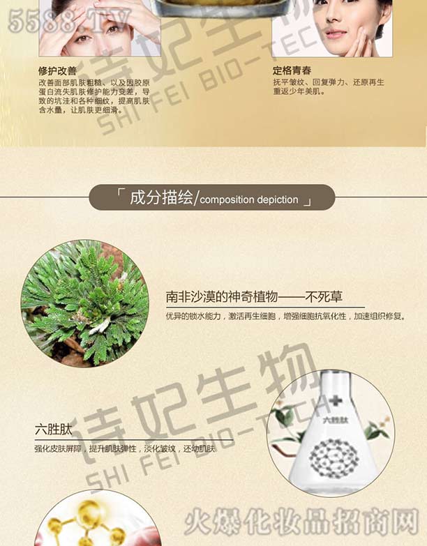 記憶復原霜
