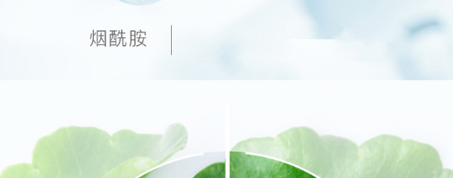 雪蘭朵水光原液調膚面膜