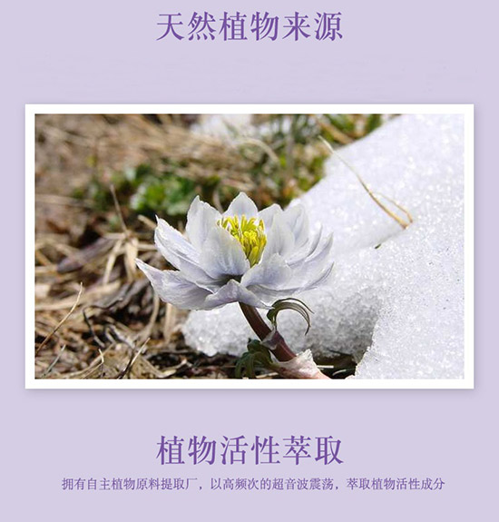 黃慶仁棧雪蓮花亮透潔面泡沫