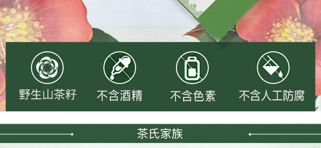 茶氏家族山茶煥顏面膜套盒