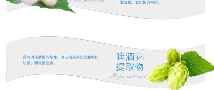 SHIFEI-Qzϴlˮ