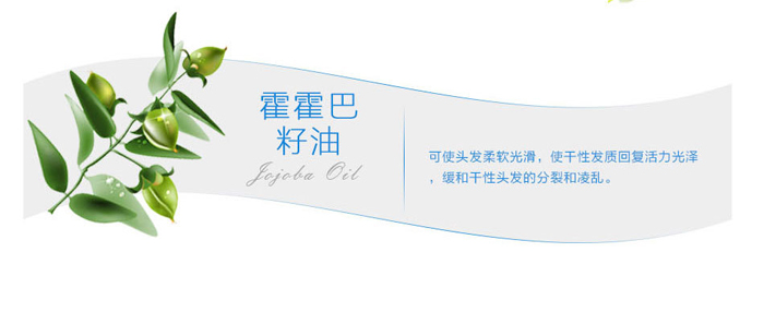 SHIFEI-Qzϴlˮ
