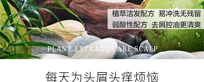 星柔植萃去屑控油洗發乳