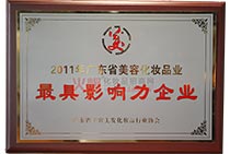 2011V|ʡݻyƷIӰI